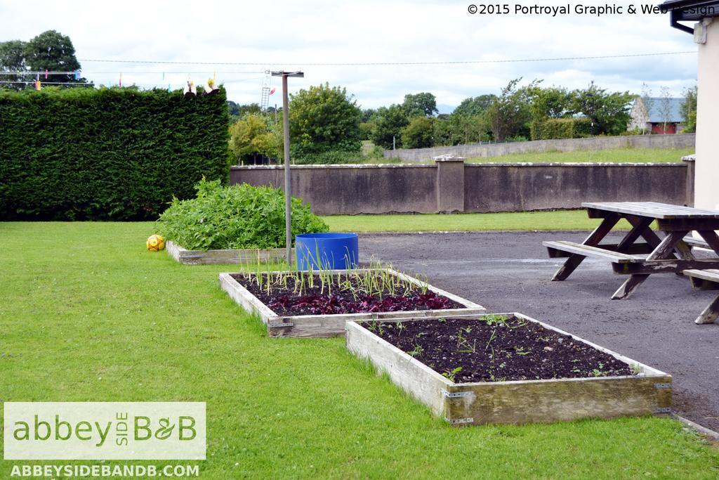 Ballintober  Abbeyside B&B المظهر الخارجي الصورة